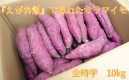 『えがお畑』で採れたサツマイモ金時芋 10kg