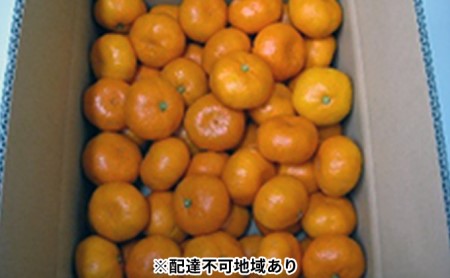 温州みかん 約5kg（内傷み補充分500g）