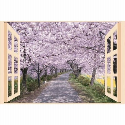 お風呂のポスター 四季彩 春 桜並木　