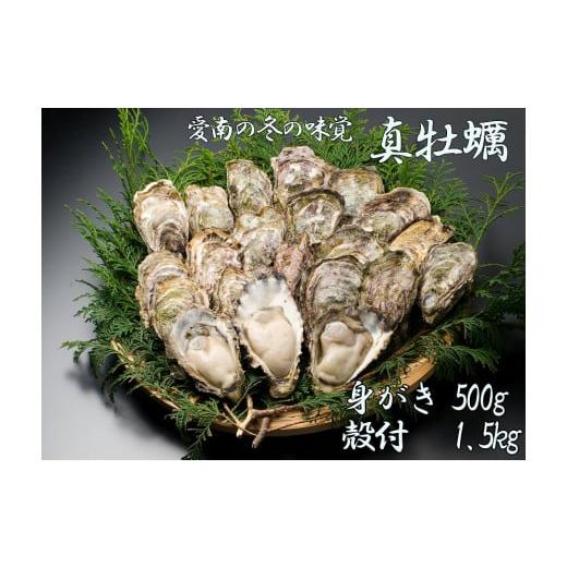 ふるさと納税 愛媛県 愛南町 愛南かき(むき身500g・殻付1.5kg) 発送期間：1月10日〜3月末