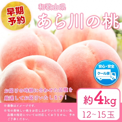 桃 もも あら川の桃 和歌山県産 紀州 の名産 旬の桃厳選 約4kg 12-15玉入り 《2024年6月中旬-8月中旬頃より順次出荷》 果物 フルーツ お取り寄せ