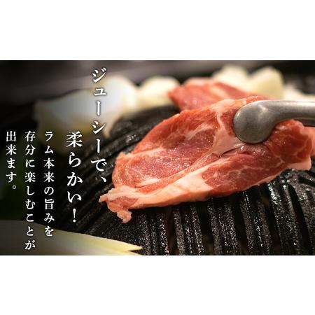 ふるさと納税 特撰 生ラム (冷凍）タレ付 600g＜肉の山本＞ ラム肉 羊肉 ジンギスカン タレ ラム 鍋 北海道 北海道千歳市