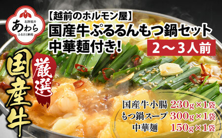 キャンプ飯 ぷるるんもつ鍋セット 中華麺付き！（約2～3人前）みそ味 越前のホルモン屋 国産牛   味噌 モツ鍋 小腸 ホルモン 鍋 国産 国産牛 牛ホルモン おつまみ 冷凍 お試しセット 人気 アウトドア キャンプ ソロキャンプ