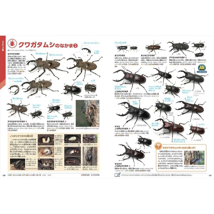 『学研の図鑑 LIVE 新版 3冊セット 昆虫・恐竜・危険生物 』（学研プラス）