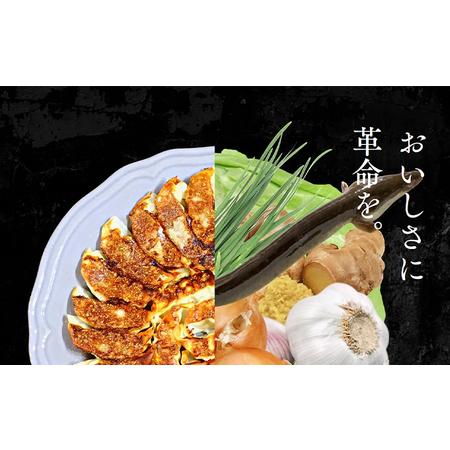 ふるさと納税 浜松餃子 うなぎパワー餃子 100個（5個入×20袋）  餃子 ぎょうざ 冷凍 静岡県浜松市