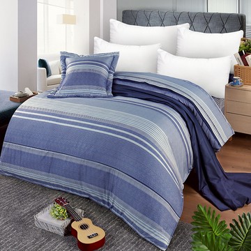 【多利寶寢具】FITNESS 精梳棉雙人鋪棉兩用被套-安德里-藍