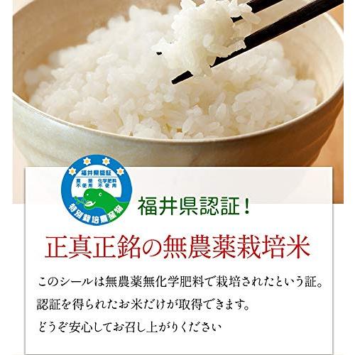 白米 無農薬 コシヒカリ 「特選」 5kg 令和5年福井県産 真空パック 無農薬・ 無化学肥料栽培