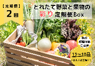 ★個数限定★とれたて野菜と果物の彩り定期便Box 13品目から18品目の豪華セット（収穫体験付き）