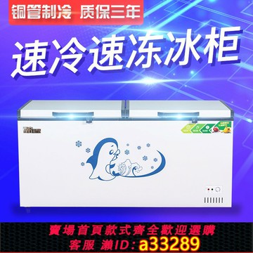 {可打統編 超低價}雪音臥式商用大容量冰柜家用單溫雙溫兩用冷柜冷藏保鮮冷凍柜節能