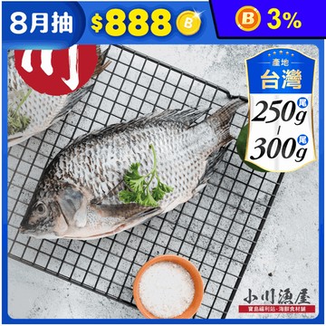 【小川漁屋】精選台灣鯛魚 (250~300g/尾)