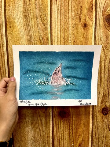 【香港豚居民】中華白海豚 / 單買 或 6入