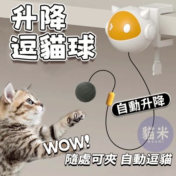 台灣出貨🐱 升降逗貓球 自動逗貓升降球貓 貓咪 升降 自動 電動 逗貓玩具 逗貓 逗貓棒 貓玩具 逗貓球 電動球 升降球