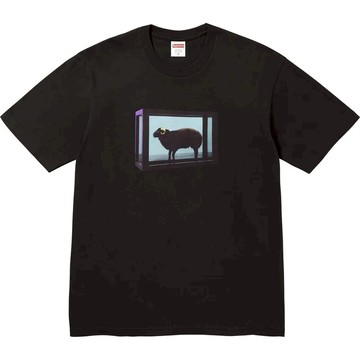【日貨代購CITY】2025SS SUPREME Damien Hirst Tee 達米恩 赫斯特 藝術家 綿羊 短T