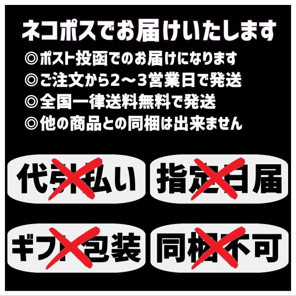 飛騨高山ラーメン　5食　お試しセット　初回限定　ネコポス　送料無料