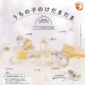 【逢甲FUZZY】日本 貓毛收集扭蛋 透明 收納盒 鑰匙扣 紀念品