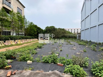 大園客運園區建地(角地)｜桃園市大園區客運二段