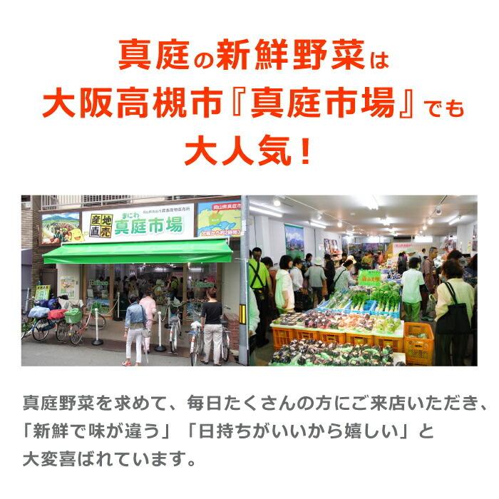 野菜セット 真庭あぐり野菜セット 7〜8品 カット野菜入り 送料無料