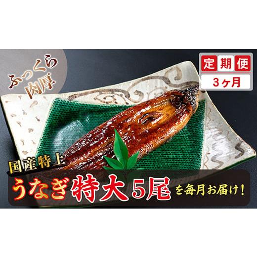 ふるさと納税 福井県 越前市 国産！特上うなぎのかば焼き 約250g × 5尾 × 3回お届け （毎月お届け）