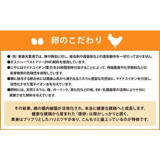 ふるさと納税 宮崎県 えびの市 わけありたまご「康卵」 Mサイズ 180個