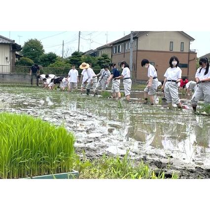 ふるさと納税 令和5年産 彩のかがやき 玄米 10kg 低農薬 新米 埼玉県羽生市