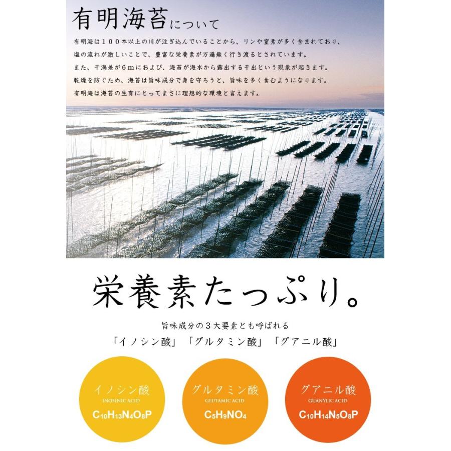 訳あり 海苔 有明海産一番摘み 焼き海苔 10枚入 お試し