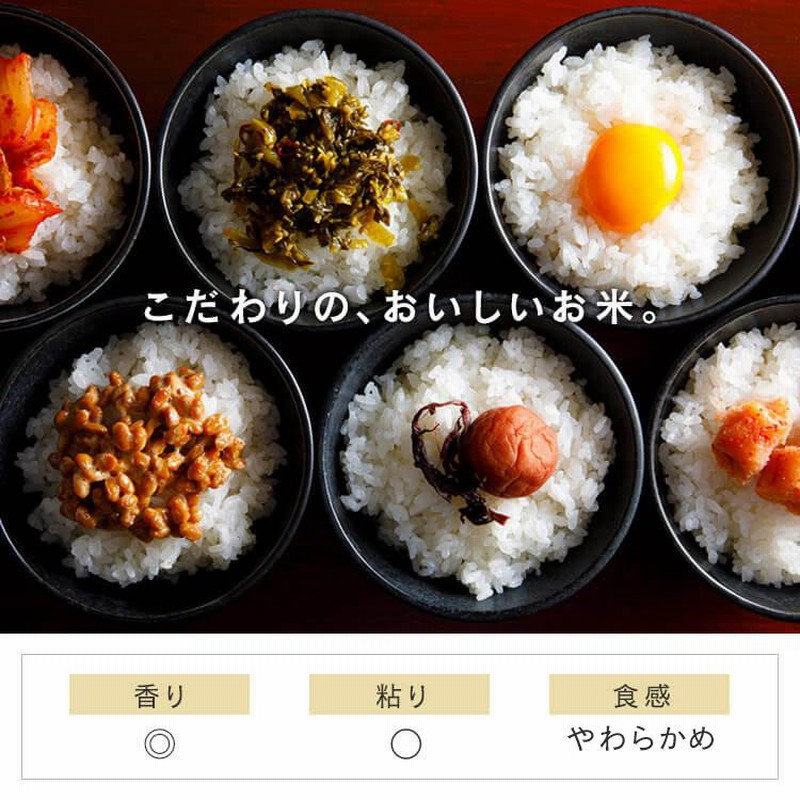 ななうるち米精米 米 300g 無洗米 生鮮米 一人暮らし お米 精白米 うるち米 なな