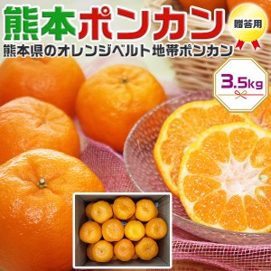 ポンカン 3.5kg 熊本県産 みかん・柑橘｜贈答用 ギフト 高級フルーツ 果物 贈物 プレゼント