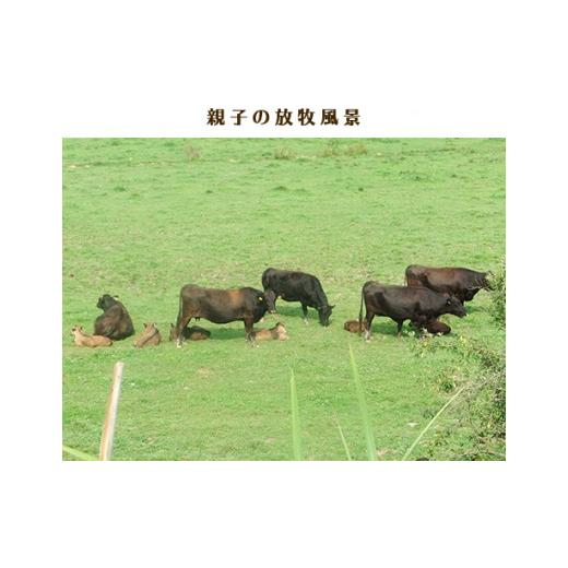 ふるさと納税 岡山県 新見市 千屋牛 モモ肩焼肉用(約300g) 牧場直送便 A5ランク