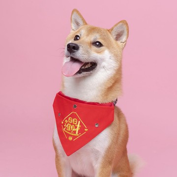 【日日進財】寵物紅包口袋刺繡領巾 | 新年必備