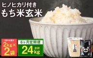  熊本県 菊池産 もち米 玄米 2kg×2袋 白米 300g 計25.8kg ヒヨクモチ