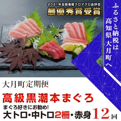 ふるさと納税 大月町 高知県 大月町産『黒潮本マグロ』大トロ・中トロ・赤身交互 計12回