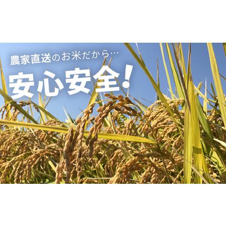 ふるさと納税  コシヒカリ 5kg 〜本原農園からまごころコメて〜 [A-8902_02]  福井県坂井市