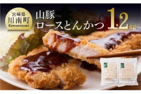 パン粉付きで揚げるだけ！きじょん山豚 ロースとんかつ 10枚 (1個120ｇ)