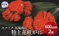 蟹屋厳選！ 北海道　厚岸産 特上花咲がに 600g前後×2尾　蟹