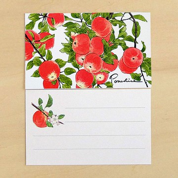 小卡系列 春飛蓬 10 入組