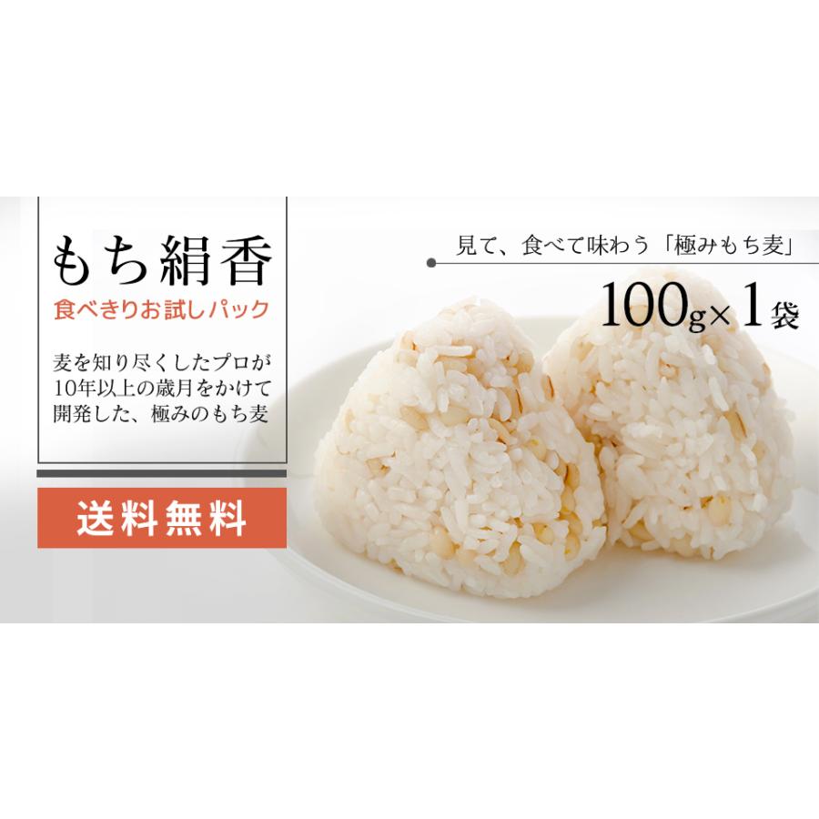 ご飯　おためし　1回限り購入　国産　麦　100g×1袋　送料無料　雑穀　LINEショッピング　ダイエット　米2合に1袋　糖質　栄養　β-グルカン　食物繊維　もち絹香　もち麦