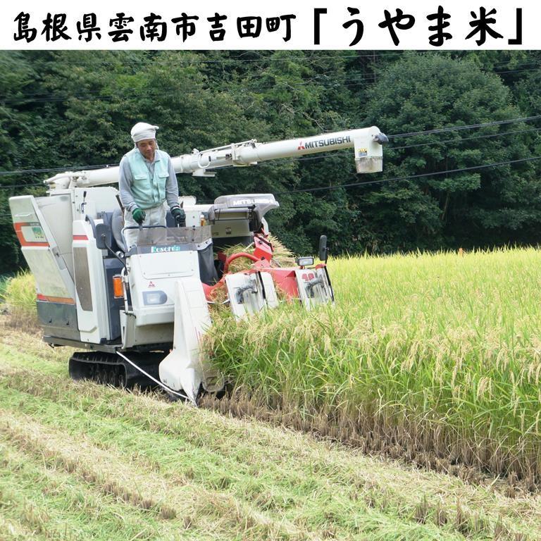 新米令和5年産 島根県吉田町『うやま米』コシヒカリ玄米30kg