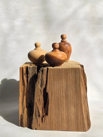 【檜木聚寶盆小品組】台灣檜木 居家/辦公/開運聚財/