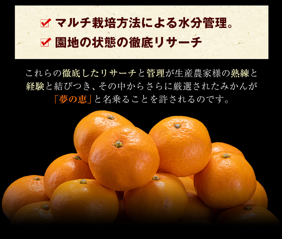 夢の恵 みかん 2.5kg前後(20玉〜30玉前後) 糖度12度以上 ブランド みかん ブランド 贈答用 糖度 12度 以上 熨斗 7-14営業日以内に発送予定(土日祝日除く)