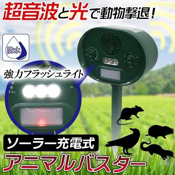 動物撃退器 アニマルバスター 超音波 ソーラー式 防水 赤外線センサー 強力フラッシュ 動物除け対策 カラス 害獣駆除 猫よけ ネズミ 野鳥 ◇  アニマルバスター 通販 LINEポイント最大0.5%GET LINEショッピング