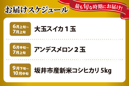  アンデスメロン 2玉 ＋ 大玉スイカ 1玉 ＋ 坂井市産新米コシヒカリ 5kg  [C-3212]
