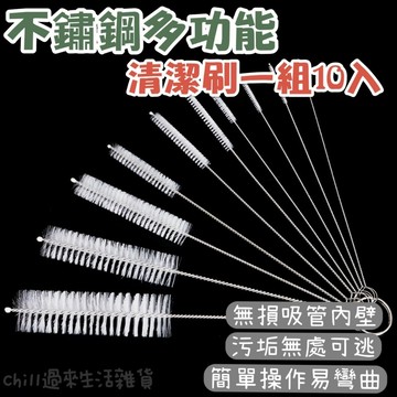 【台灣現貨】十件套清潔刷 多功能清潔刷 環保吸管清潔刷 不鏽鋼毛刷 水管清潔刷 奶瓶刷 試管刷 吸管刷 茶壺刷