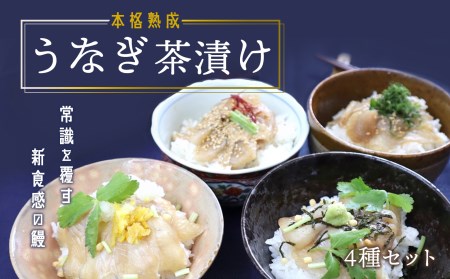 本格こだわり熟成 最高級うなぎ龍鰻茶漬けセット