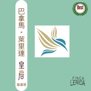 TreesWind 巴拿馬 萊里達 皇后 濾掛咖啡