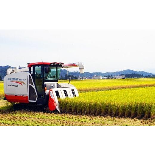 ふるさと納税 山形県 長井市 野川清流米「ミルキークイーン」30kg(30kg×1袋)_A091(R5)