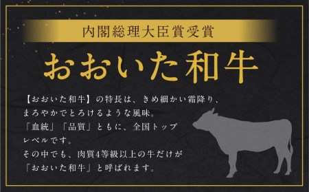 おおいた和牛 切り落とし 約500g×2P 計1kg ウデ モモ バラ