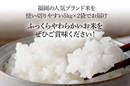 新米 令和5年産　福岡県産ブランド米「夢つくし」白米　計10kg(5kg×2袋)