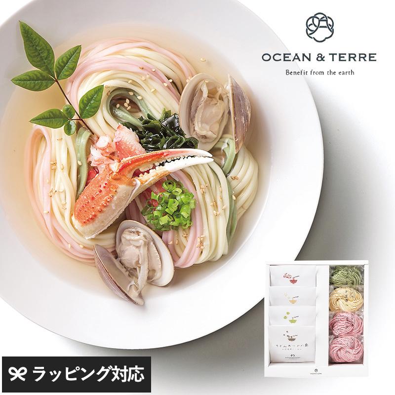 うどん 贈答用 おしゃれ 高級 ギフト 甘くないもの 詰め合わせ OCEAN ＆ TERRE 野菜うどんセットC