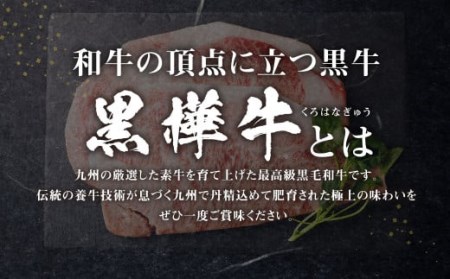 九州産黒毛和牛 杉本本店 黒樺牛 A4~A5等級  ロースステーキ定期便 400g×3回