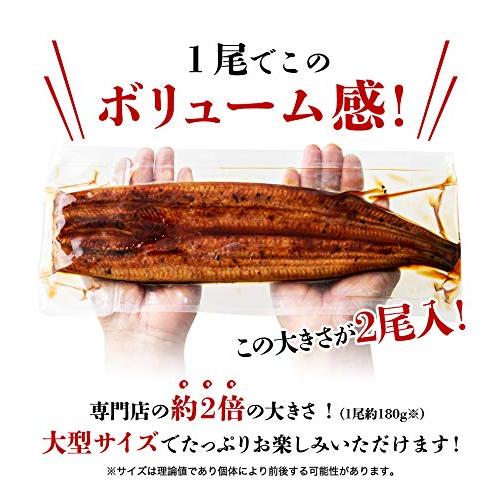 食の達人 国産 無投薬うなぎ 2尾 紫色 藤色 風呂敷包み たれ山椒４P付き 特大 約180g×2本